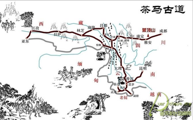 寻踪茶马古道